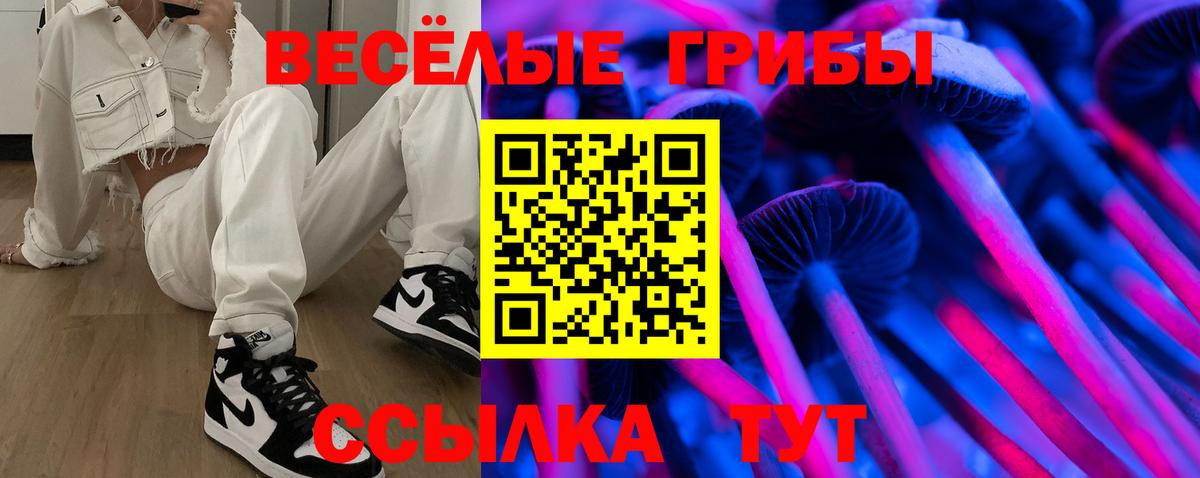 Галлюциногенные грибы Cubensis  магазин продажи наркотиков  Отрадное  Вход с VPN 